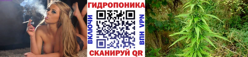 Сколько стоит Спас-Деменск Галлюциногенные грибы Гашиш Канабис COCAIN Alpha-PVP