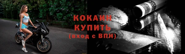 дживик Арсеньев