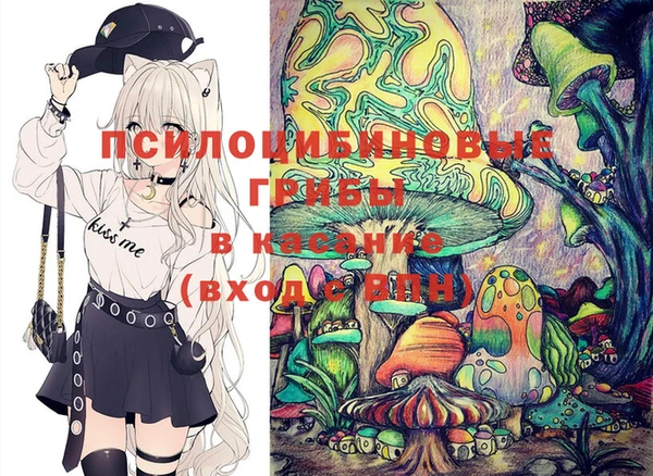 дживик Арсеньев